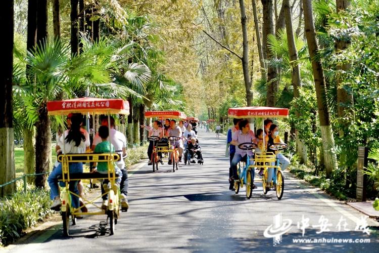 合肥萬人游園迎中秋 景區(qū)旅游觀光服務(wù)再升級(jí)